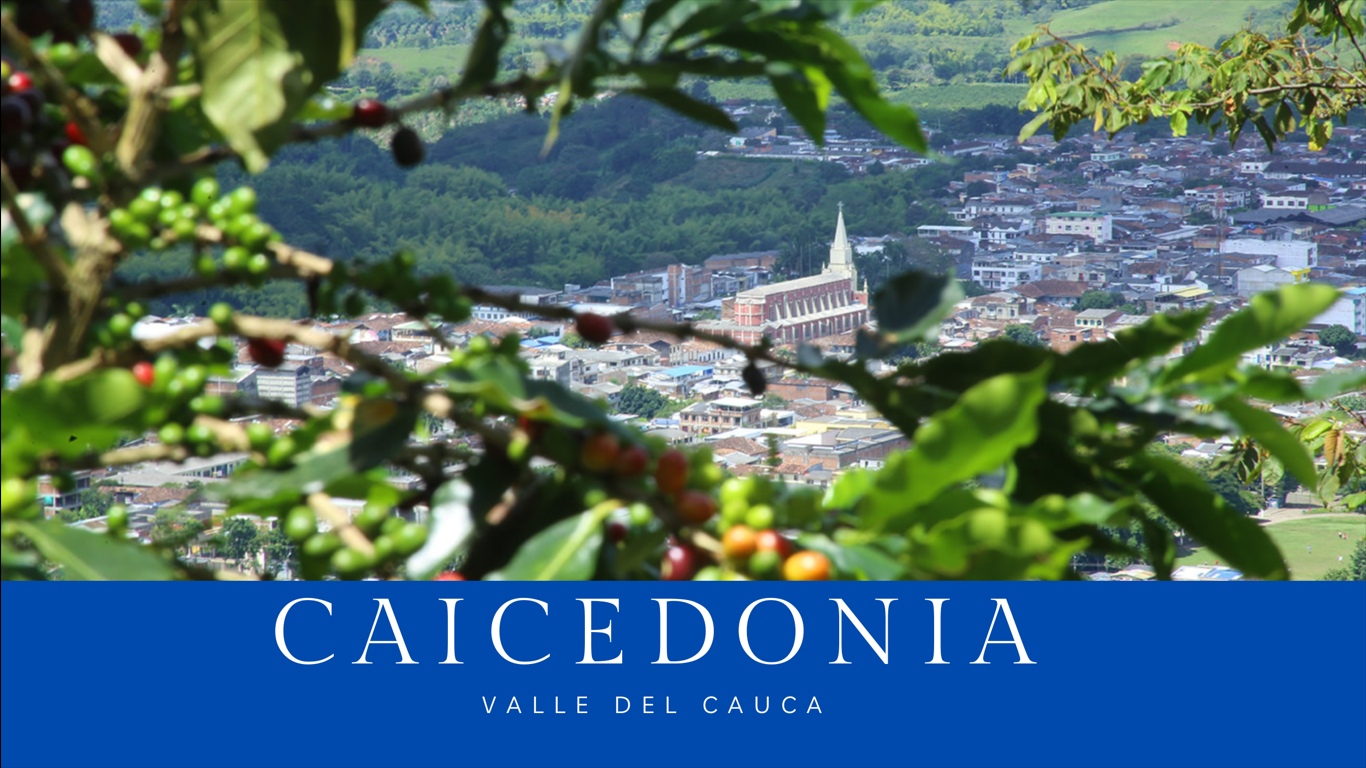 municipios-del-valle-del-cauca/caicedonia